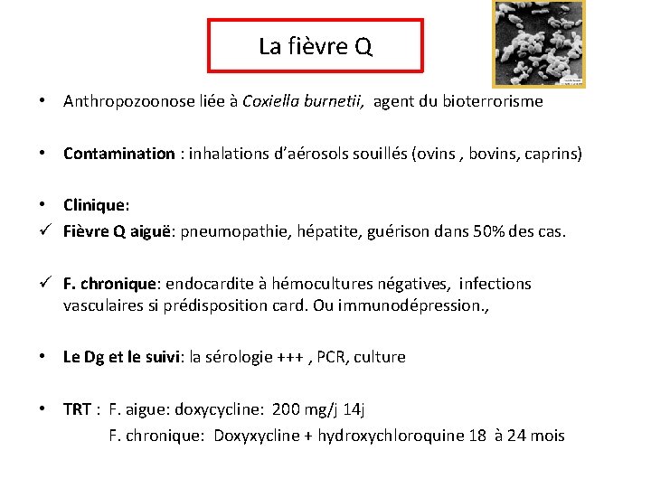 La fièvre Q • Anthropozoonose liée à Coxiella burnetii, agent du bioterrorisme • Contamination