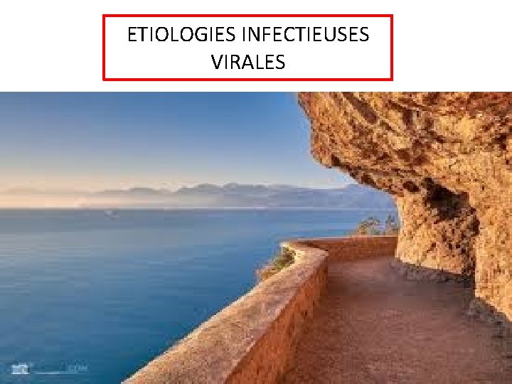 ETIOLOGIES INFECTIEUSES VIRALES 