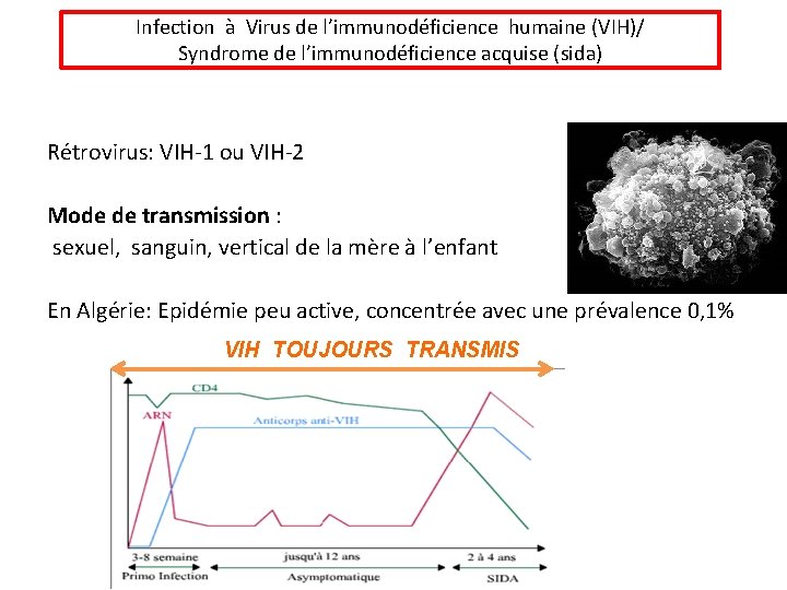 Infection à Virus de l’immunodéficience humaine (VIH)/ Syndrome de l’immunodéficience acquise (sida) Rétrovirus: VIH-1