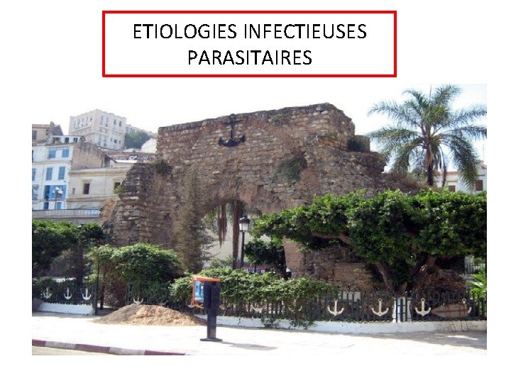 ETIOLOGIES INFECTIEUSES PARASITAIRES 