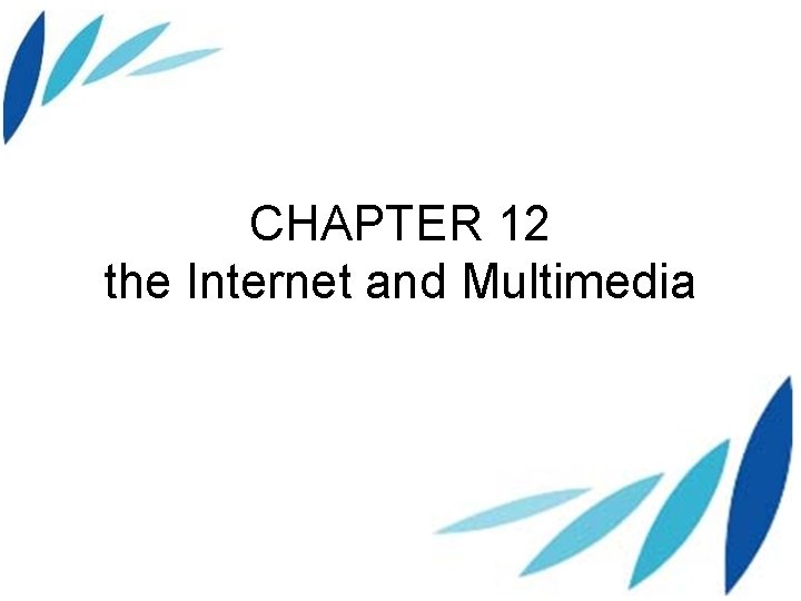 CHAPTER 12 the Internet and Multimedia 