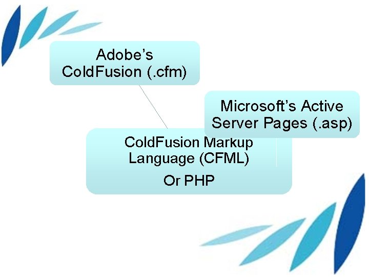 Adobe’s Cold. Fusion (. cfm) Microsoft’s Active Server Pages (. asp) Cold. Fusion Markup