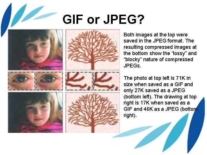 GIF or JPEG? Both images at the top were saved in the JPEG format.
