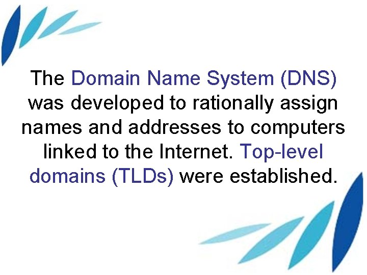 The Domain Name System (DNS) was developed to rationally assign names and addresses to