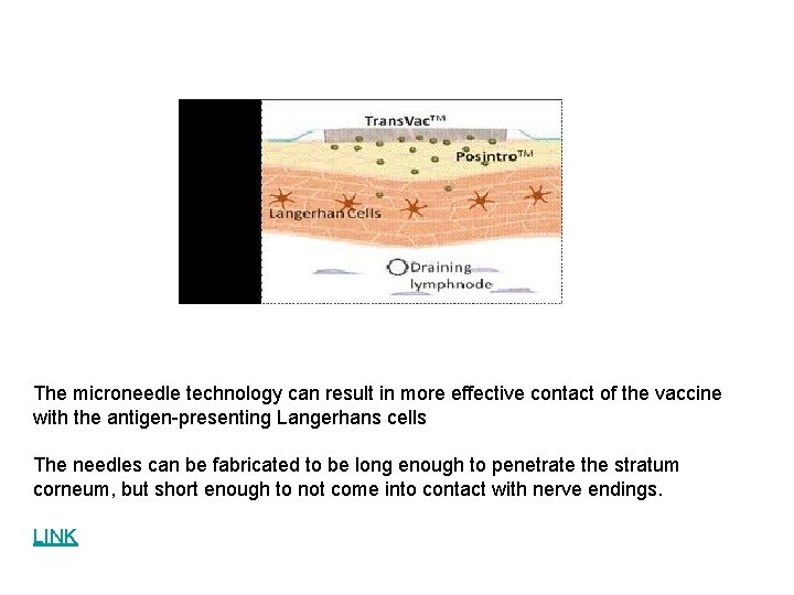The microneedle technology can result in more effective contact of the vaccine with the