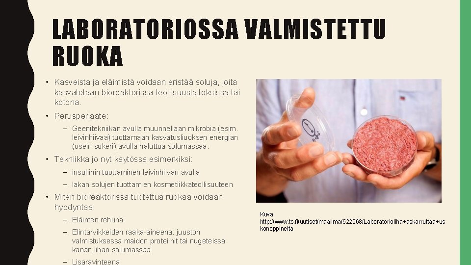 LABORATORIOSSA VALMISTETTU RUOKA • Kasveista ja eläimistä voidaan eristää soluja, joita kasvatetaan bioreaktorissa teollisuuslaitoksissa