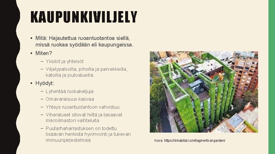 KAUPUNKIVILJELY • Mitä: Hajautettua ruoantuotantoa siellä, missä ruokaa syödään eli kaupungeissa. • Miten? –