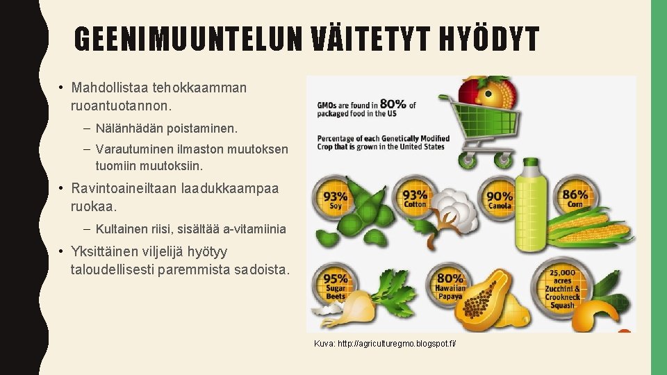 GEENIMUUNTELUN VÄITETYT HYÖDYT • Mahdollistaa tehokkaamman ruoantuotannon. – Nälänhädän poistaminen. – Varautuminen ilmaston muutoksen