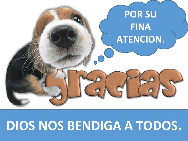 POR SU FINA ATENCION. DIOS NOS BENDIGA A TODOS. 