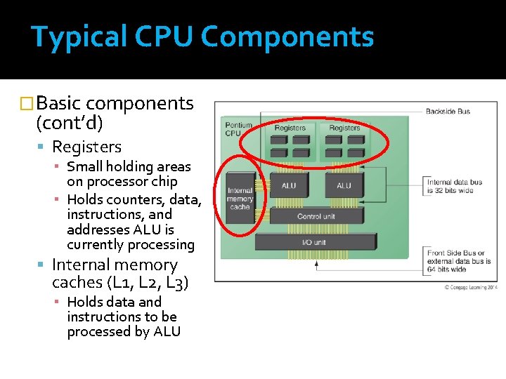 Typical CPU Components �Basic components (cont’d) Registers ▪ Small holding areas on processor chip