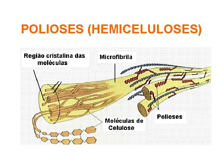 POLIOSES (HEMICELULOSES) 