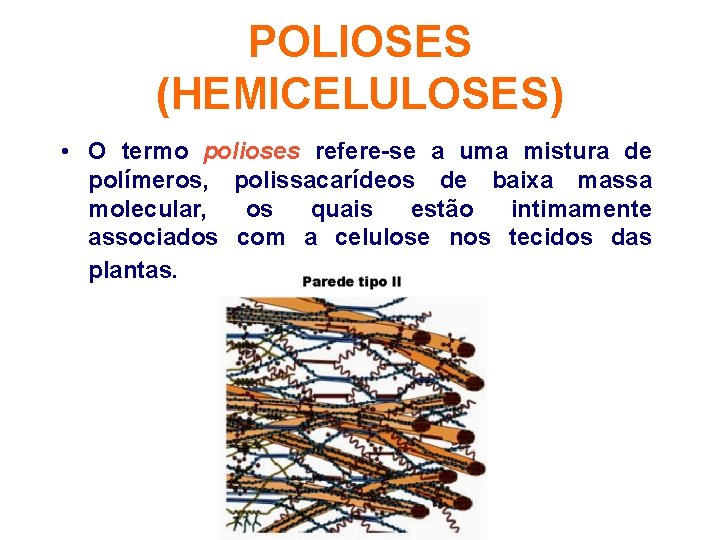 POLIOSES (HEMICELULOSES) • O termo polioses refere-se a uma mistura de polímeros, polissacarídeos de