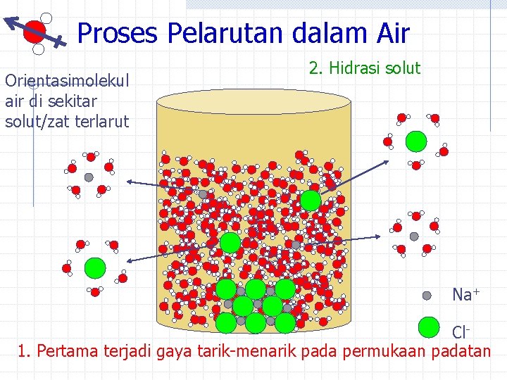 Proses Pelarutan dalam Air Orientasimolekul air di sekitar solut/zat terlarut 2. Hidrasi solut Na+
