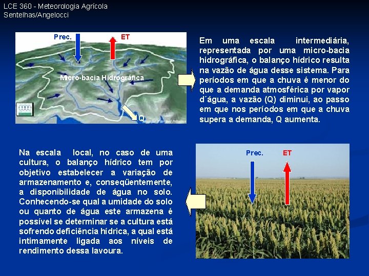 LCE 360 - Meteorologia Agrícola Sentelhas/Angelocci Prec. ET Micro-bacia Hidrográfica Q Na escala local,