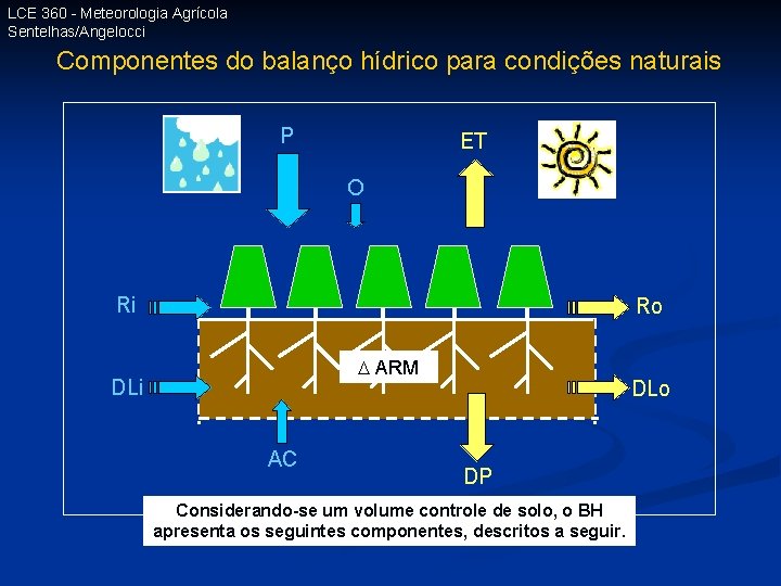 LCE 360 - Meteorologia Agrícola Sentelhas/Angelocci Componentes do balanço hídrico para condições naturais P