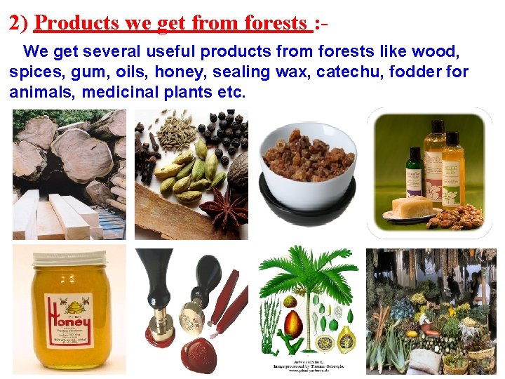 2) Products we get from forests : We get several useful products from forests