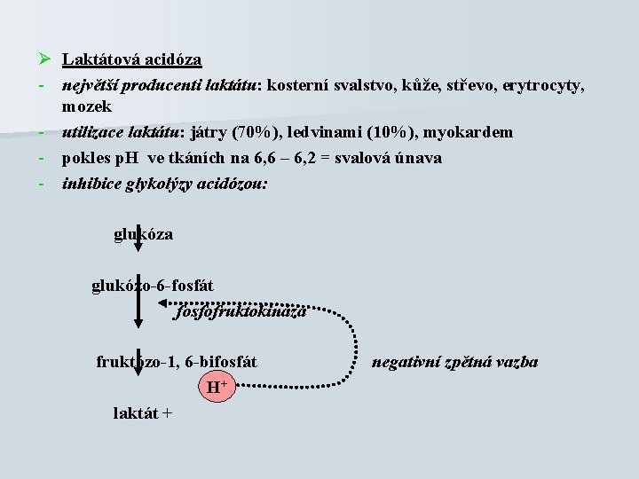 Ø Laktátová acidóza - největší producenti laktátu: kosterní svalstvo, kůže, střevo, erytrocyty, mozek -