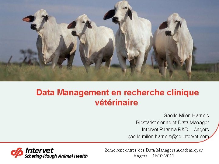 Data Management en recherche clinique vétérinaire Gaëlle Milon-Harnois Biostatisticienne et Data-Manager Intervet Pharma