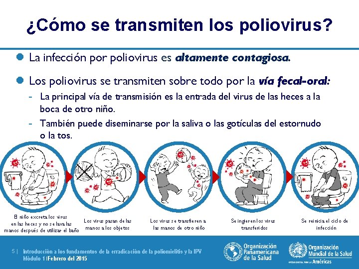 ¿Cómo se transmiten los poliovirus? l La infección por poliovirus es altamente contagiosa. l