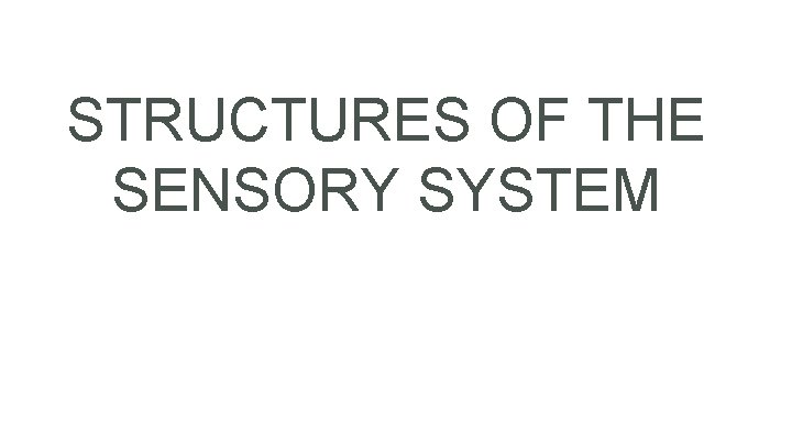 STRUCTURES OF THE SENSORY SYSTEM 