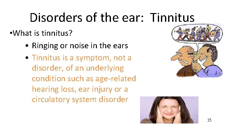 Disorders of the ear: Tinnitus • What is tinnitus? • Ringing or noise in