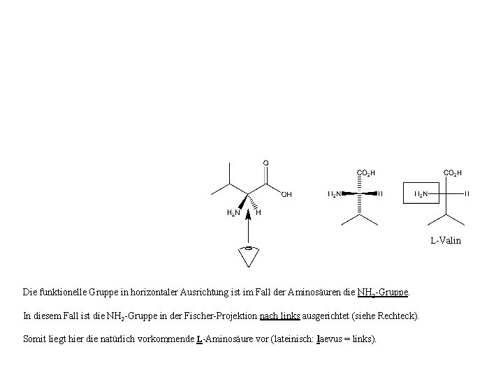 L-Valin Die funktionelle Gruppe in horizontaler Ausrichtung ist im Fall der Aminosäuren die NH
