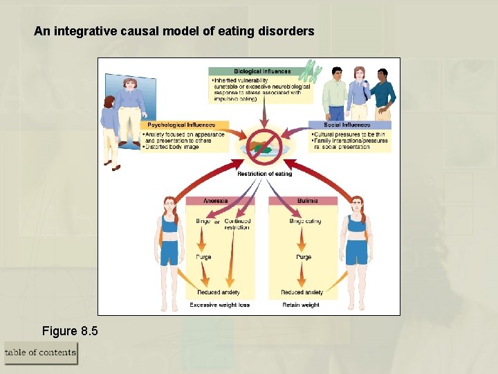 An integrative causal model of eating disorders Figure 8. 5 