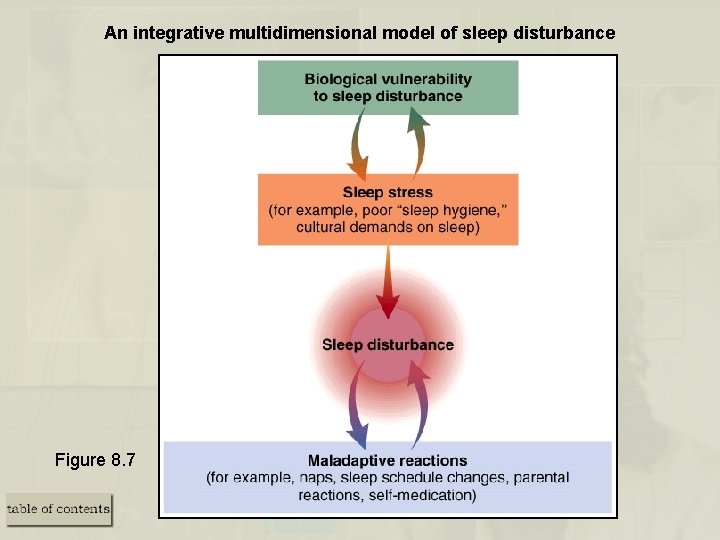 An integrative multidimensional model of sleep disturbance Figure 8. 7 