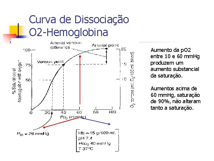 Curva de Dissociação O 2 -Hemoglobina Aumento da p. O 2 entre 10 e