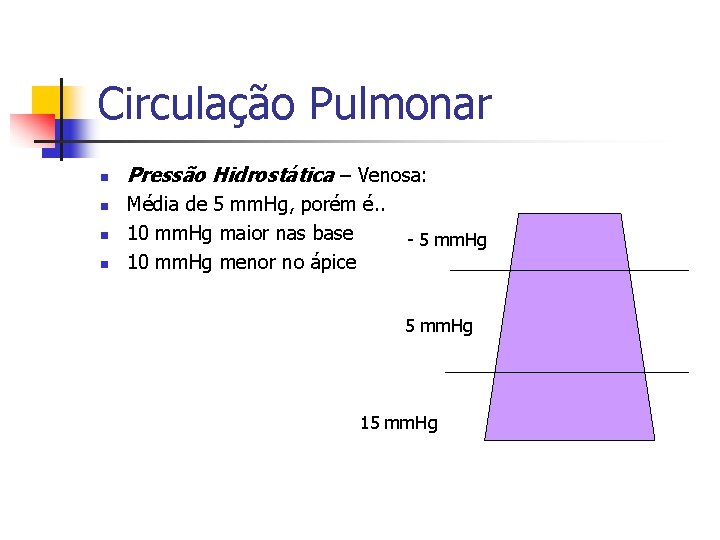 Circulação Pulmonar n n Pressão Hidrostática – Venosa: Média de 5 mm. Hg, porém