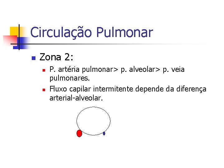 Circulação Pulmonar n Zona 2: n n P. artéria pulmonar> p. alveolar> p. veia