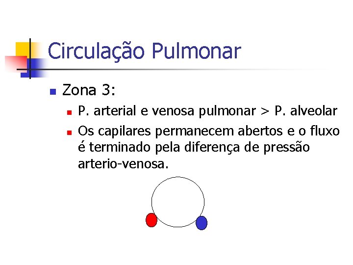 Circulação Pulmonar n Zona 3: n n P. arterial e venosa pulmonar > P.