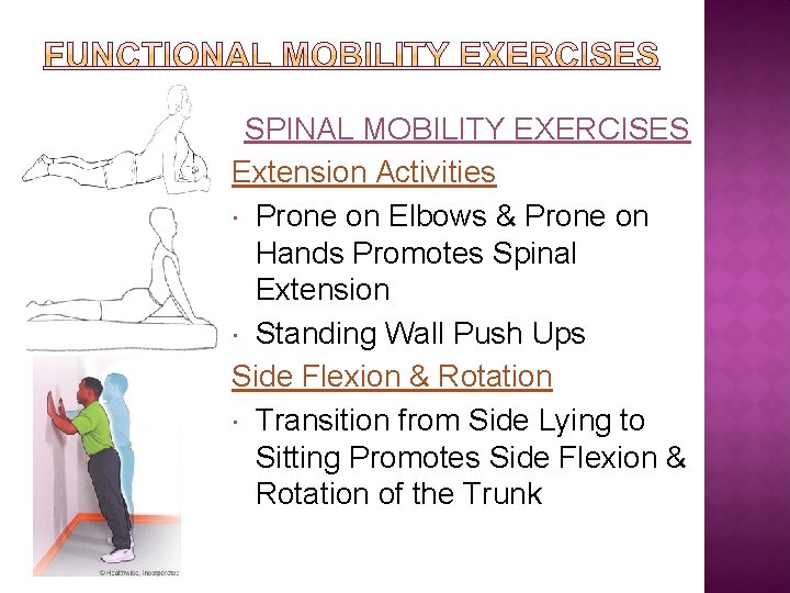 SPINAL MOBILITY EXERCISES Extension Activities Prone on Elbows & Prone on Hands Promotes Spinal