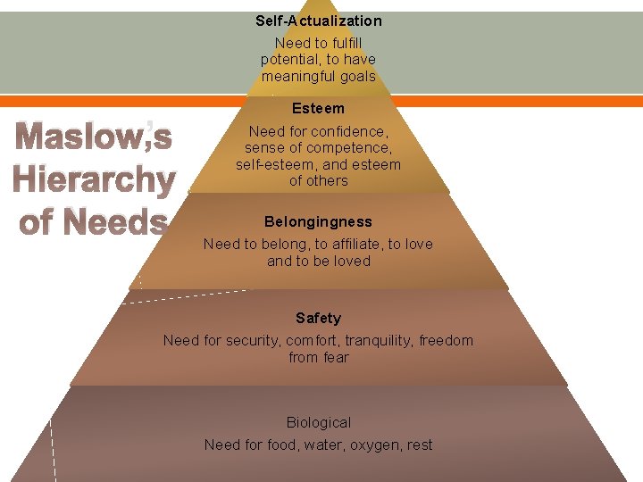 Self-Actualization Need to fulfill potential, to have meaningful goals Maslow’s Hierarchy of Needs Esteem