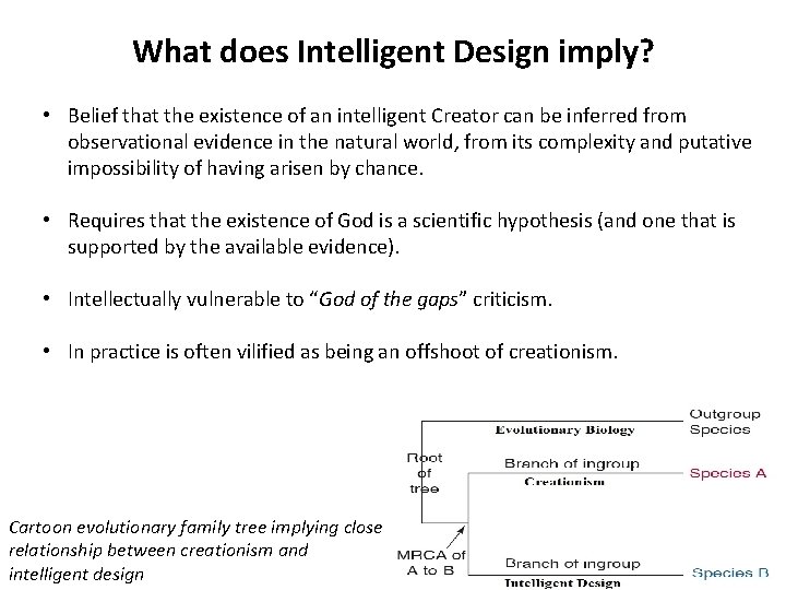 What does Intelligent Design imply? • Belief that the existence of an intelligent Creator