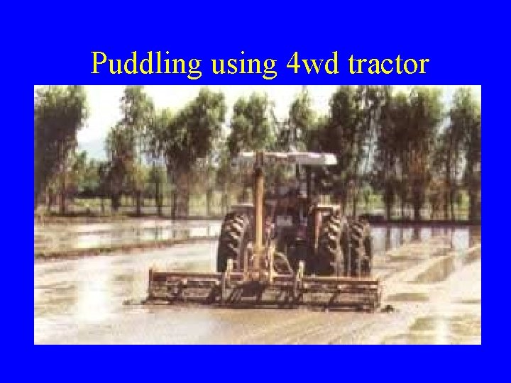 Puddling using 4 wd tractor Puddling using 4 wd tractor