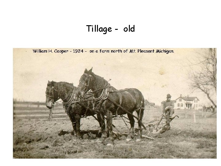 Tillage - old Tillage - old
