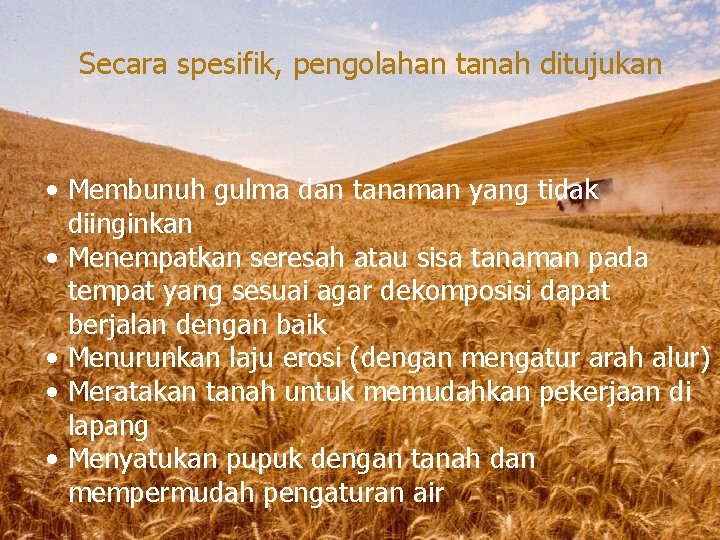 Secara spesifik, pengolahan tanah ditujukan • Membunuh gulma dan tanaman yang tidak diinginkan • Secara spesifik, pengolahan tanah ditujukan • Membunuh gulma dan tanaman yang tidak diinginkan •