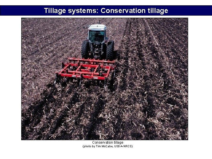Tillage systems: Conservation tillage (photo by Tim Mc. Cabe, USDA-NRCS) Tillage systems: Conservation tillage (photo by Tim Mc. Cabe, USDA-NRCS)