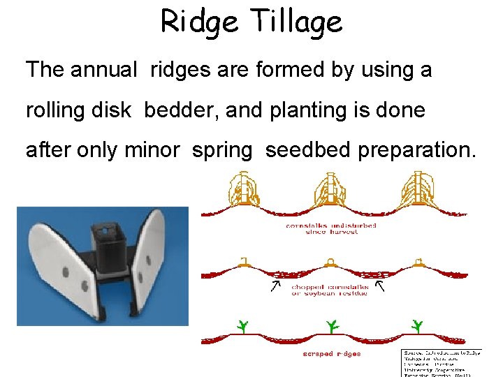 Ridge Tillage The annual ridges are formed by using a rolling disk bedder, and Ridge Tillage The annual ridges are formed by using a rolling disk bedder, and