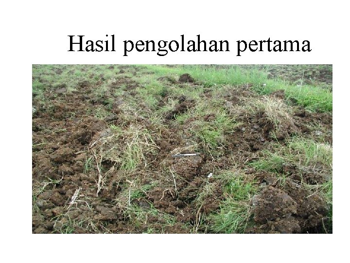 Hasil pengolahan pertama Hasil pengolahan pertama