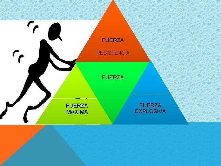 FUERZA RESISTENCIA FUERZA MAXIMA FUERZA EXPLOSIVA 