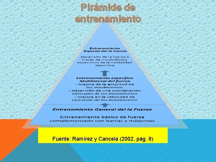 Pirámide de entrenamiento Fuente: Ramírez y Cancela (2002, pág. 8) 