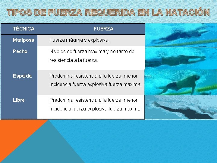 TIPOS DE FUERZA REQUERIDA EN LA NATACIÓN TÉCNICA FUERZA Mariposa Fuerza máxima y explosiva.