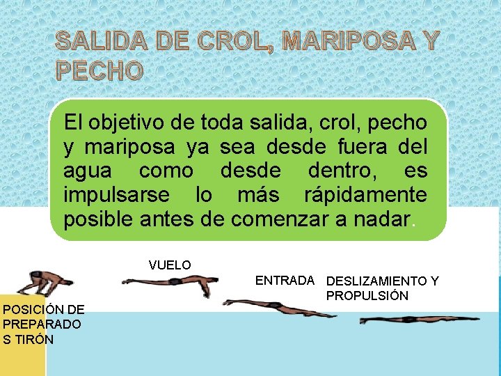 SALIDA DE CROL, MARIPOSA Y PECHO El objetivo de toda salida, crol, pecho y