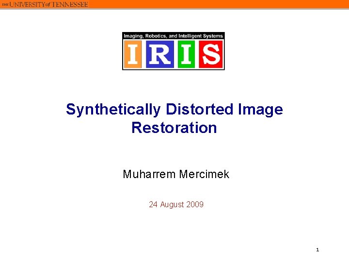 Synthetically Distorted Image Restoration Muharrem Mercimek 24 August 2009 1 