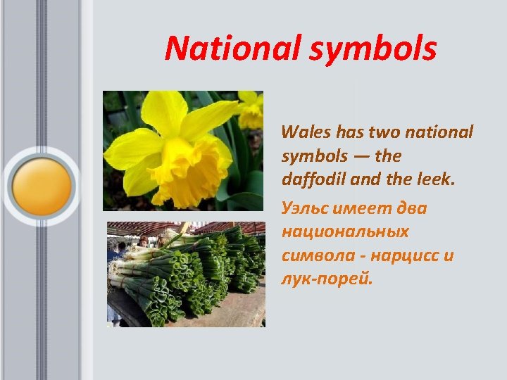  National symbols Wales has two national symbols — the daffodil and the leek.