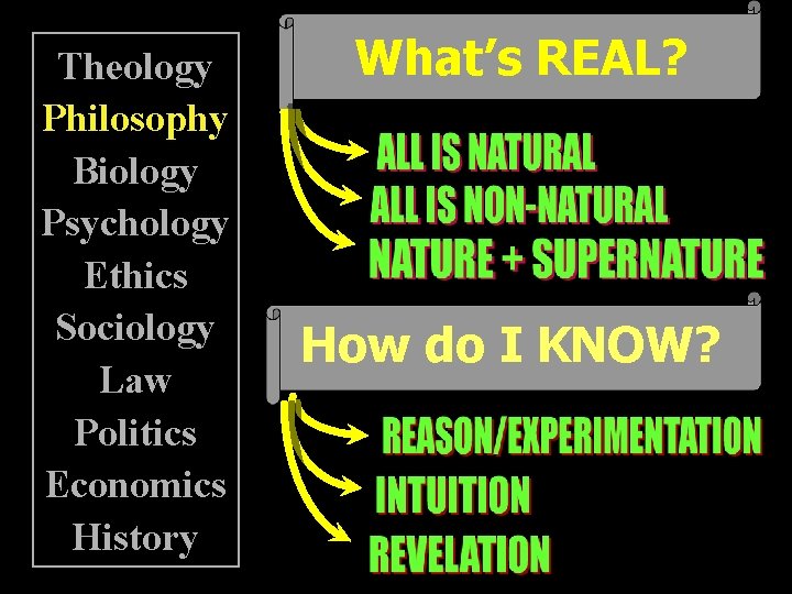 Theology Philosophy Biology Psychology Ethics Sociology Law Politics Economics History What’s REAL? How do