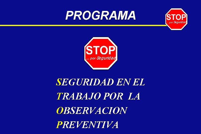 PROGRAMA SEGURIDAD EN EL TRABAJO POR LA OBSERVACION PREVENTIVA 