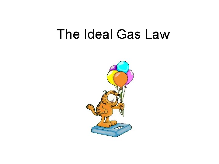 The Ideal Gas Law 